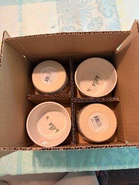 NEW 4 piece Juliska Berry & Thread Northpole Ramekin